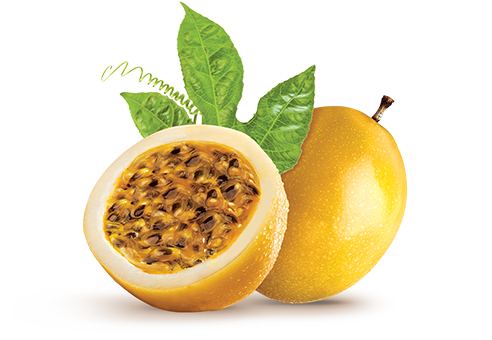 Imagem produto