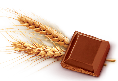 Imagem produto